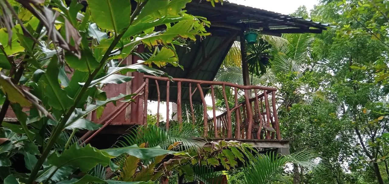 Sigiri Panaromic Tree House Βίλα Σιγκιρίγια
